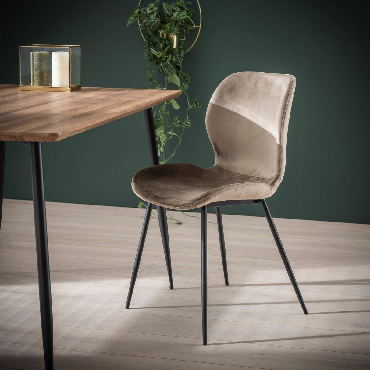 Conjunto de 4 sillas de comedor Argo Velours champagne