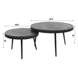 Conjunto de 2 mesas de café redondas Caro Hout Black