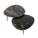 Niora Conjunto de Mesas de Centro Orgánicas de 2 piezas de Cerámica Fossil Black 