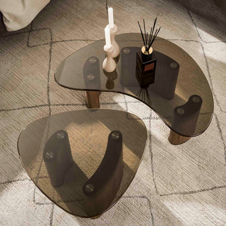 Conjunto de mesas de centro orgánicas de bronce con vidrio, de 2 piezas 