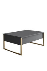 Conjunto-de-muebles-Antracita-Lujo---Mesa-de-centro-+-Mueble-TV-+-Aparador---Marco-Dorado